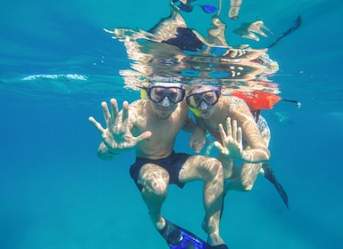 Cabo San Lucas: Snorkeltur med öppen bar och snacks