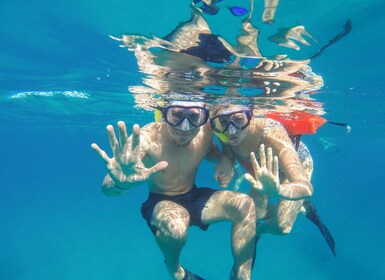 Cabo San Lucas: Snorkeltur med åpen bar og snacks