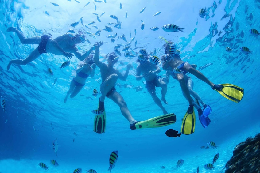 Picture 12 for Activity Cabo San Lucas: Snorkel Tour with Open Bar & Snacks