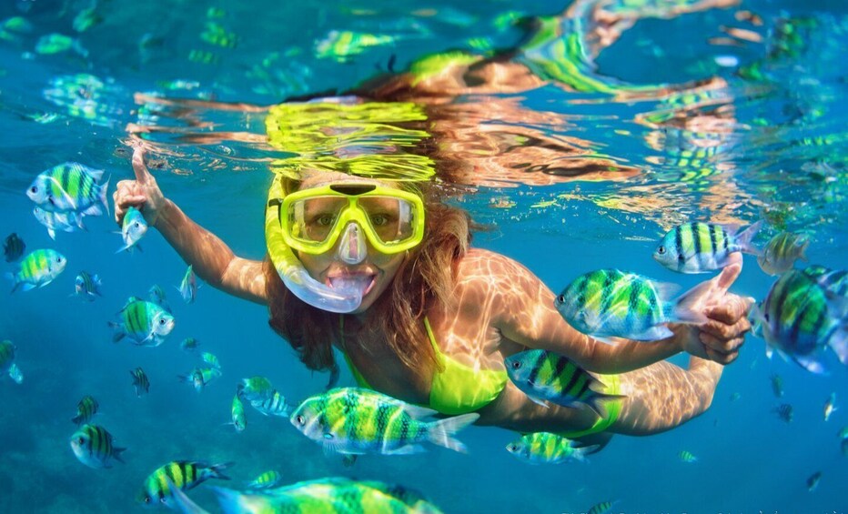 Picture 7 for Activity Cabo San Lucas: Snorkel Tour with Open Bar & Snacks