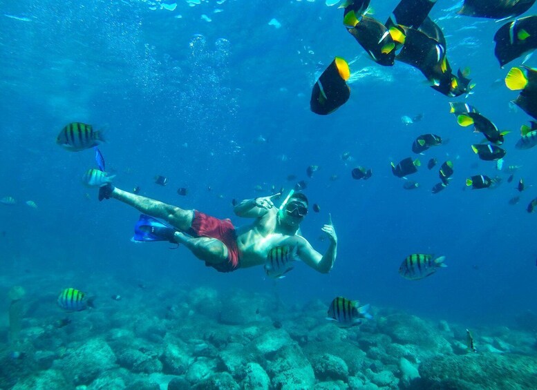 Picture 6 for Activity Cabo San Lucas: Snorkel Tour with Open Bar & Snacks