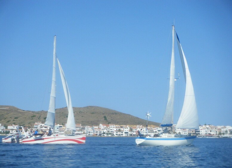 Picture 2 for Activity From Fornells: Half-Day Menorca Catamaran Trip w/ Snorkeling