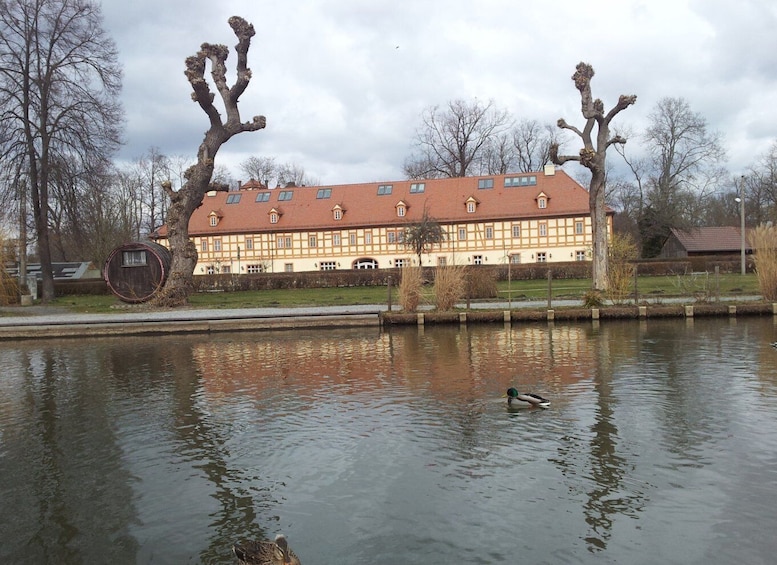 Picture 4 for Activity From Dresden: Day Trip to The Spreewald