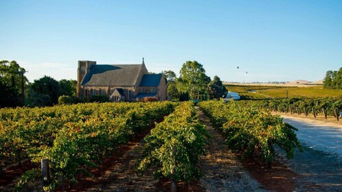 Clare Valley: Wine Region Day Tour with Wine Tasting