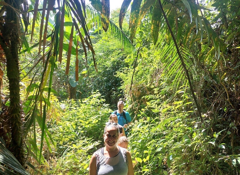 Picture 9 for Activity From Phuket: Guided Rainforest Hike with Lunch