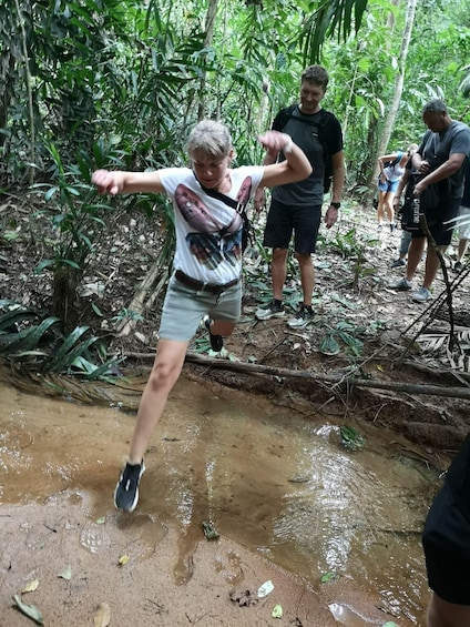 Picture 4 for Activity From Phuket: Guided Rainforest Hike with Lunch