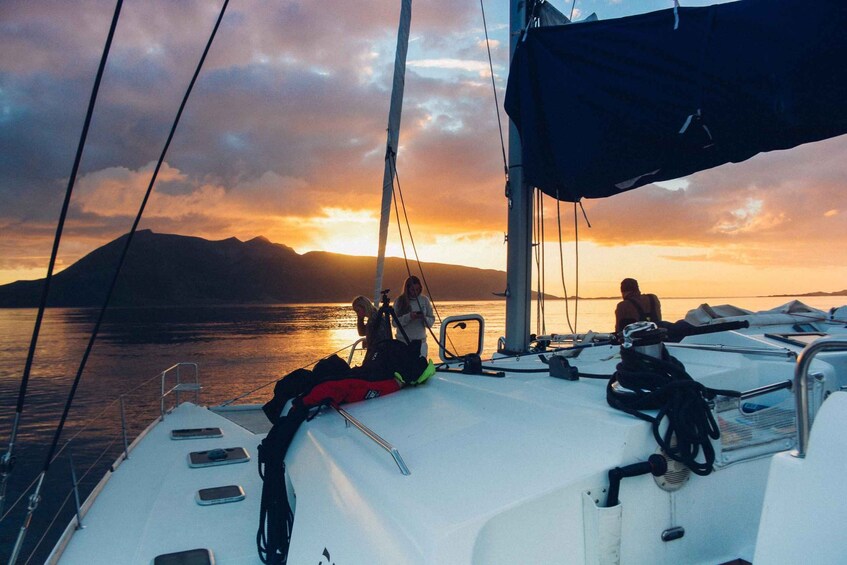 Picture 6 for Activity Tromsø: Midnight Sun or Sunset Sail