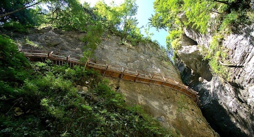 Från Bled: Halvdagsvandring längs Pokljuka Gorge Trail