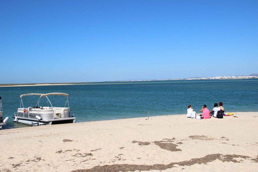 Picture 15 for Activity From Faro: 2-Hour Guided Bird Watching Boat Trip