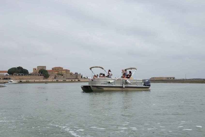 Picture 22 for Activity From Faro: 2-Hour Guided Bird Watching Boat Trip