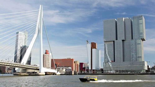 鹿特丹：De Rotterdam, Cube Houses, Watertaxi and Markthal