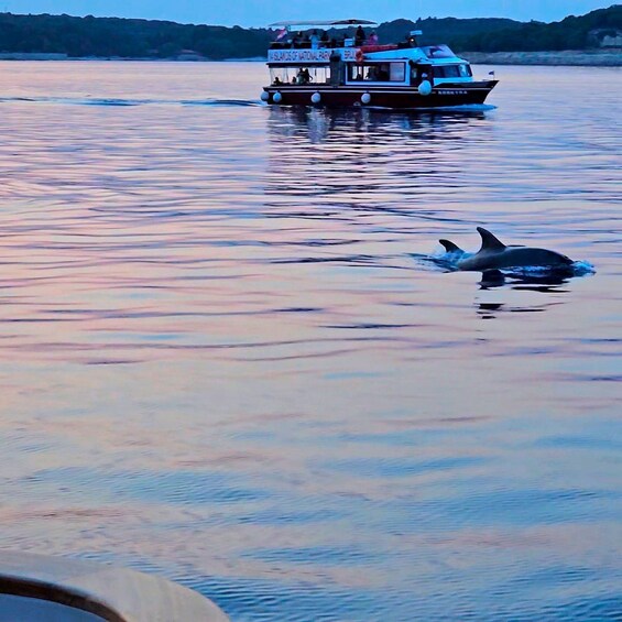 Picture 15 for Activity Pula: National Park Brijuni Dolphin Cruise with Dinner