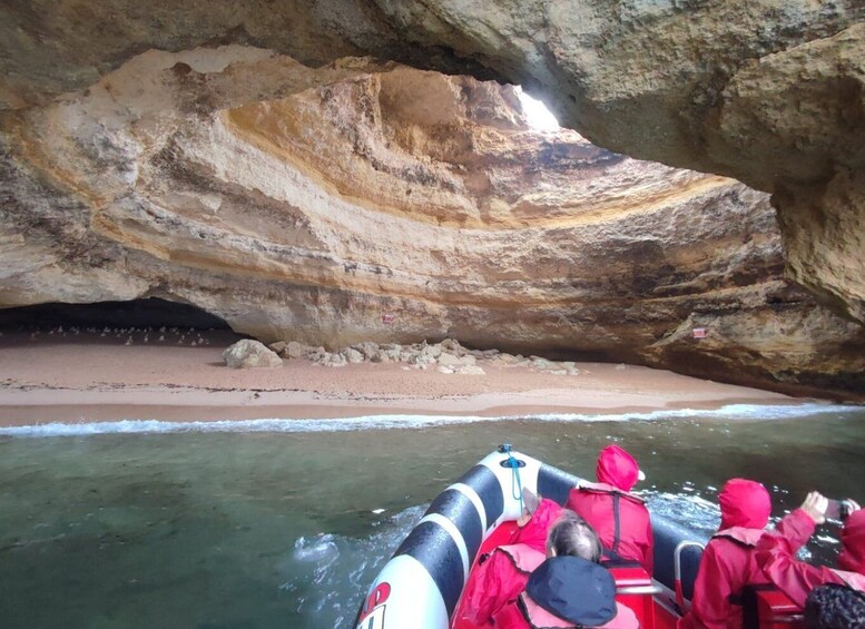 Picture 7 for Activity From Lagos: Benagil Sea Caves Tour with a Local Guide