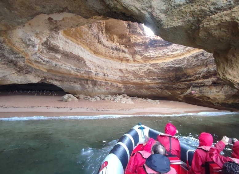 Picture 8 for Activity Lagos: Benagil Sea Cave Tour with a Local Guide