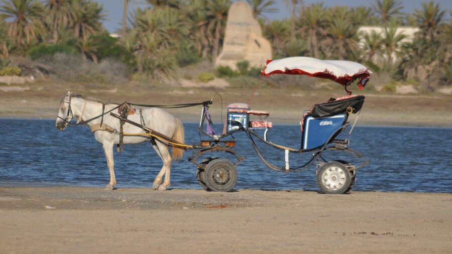 Blue Lagune 2H Carriage Ride in Djerba