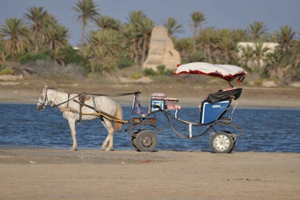 Blaue Lagune 2H Kutschfahrt in Djerba