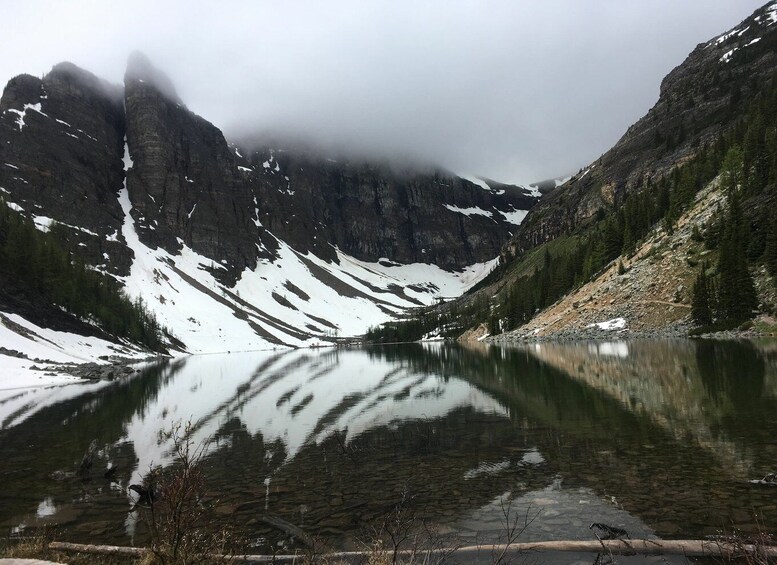 Picture 4 for Activity Lake Louise Full-Day Hiking Experience