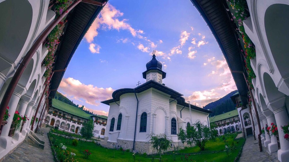 From Iasi: Rural Experience Fortress & Bison Reservation