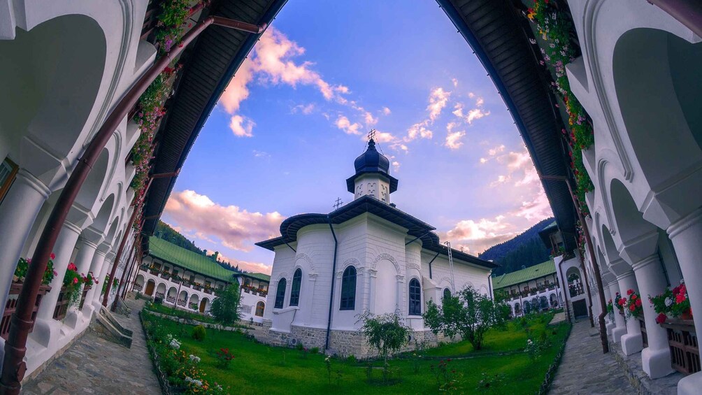 From Iasi: Rural Experience Fortress & Bison Reservation