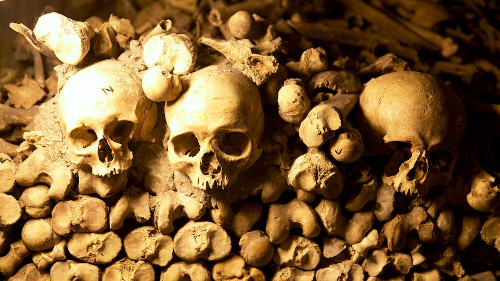 Close up of skulls and bones in catacombs in Paris