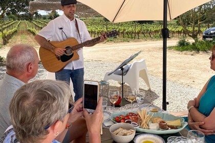 Carvoeiro/Portimão/Alvor: tour de vinos con degustación, tapas y música