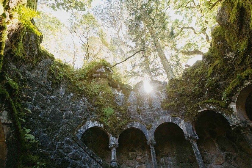 Picture 2 for Activity From Lisbon: Sintra, Regaleira and Pena Palace Guided Tour