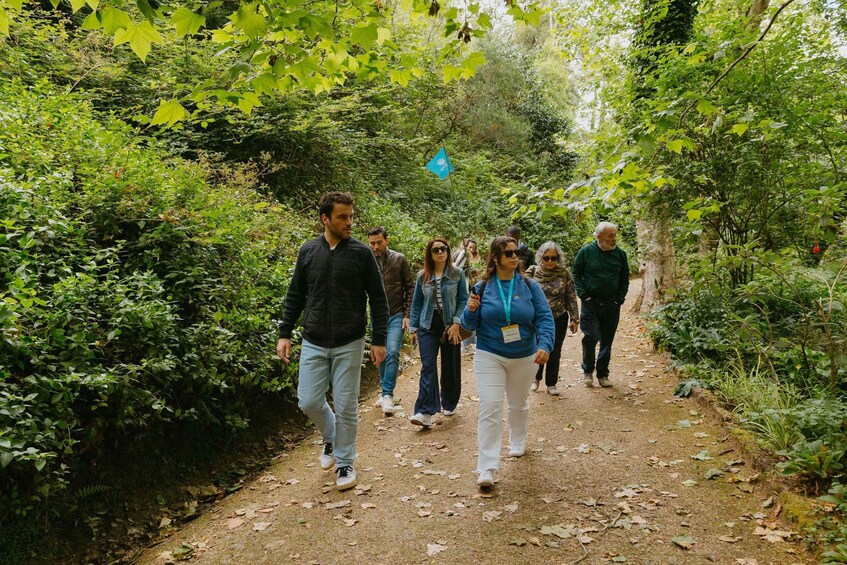 Picture 6 for Activity From Lisbon: Sintra, Regaleira and Pena Palace Guided Tour