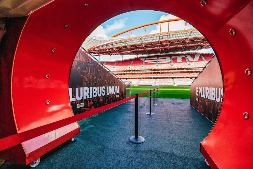 Picture 5 for Activity Lisbon: Luz Stadium Tour and SL Benfica Museum Ticket