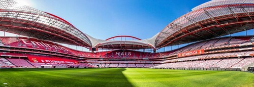 Lisbonne : Visite du stade Luz et billet pour le musée SL Benfica