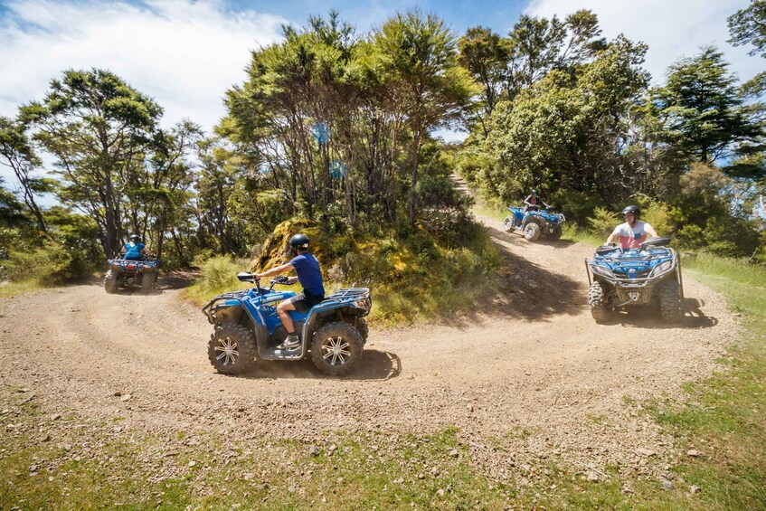 Picture 7 for Activity Nelson: Guided Quad Biking Tour Through Forest and Farmland