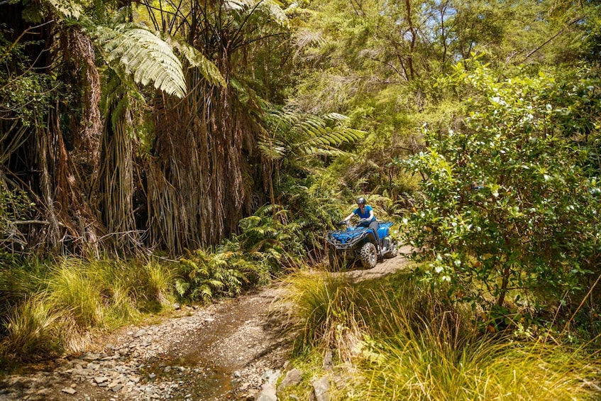 Picture 9 for Activity Nelson: Guided Quad Biking Tour Through Forest and Farmland