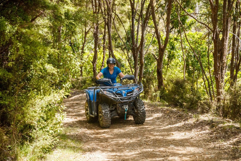 Picture 8 for Activity Nelson: Guided Quad Biking Tour Through Forest and Farmland