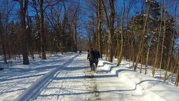 Electric Fat Tire Bicycle Ride on Mount Royal