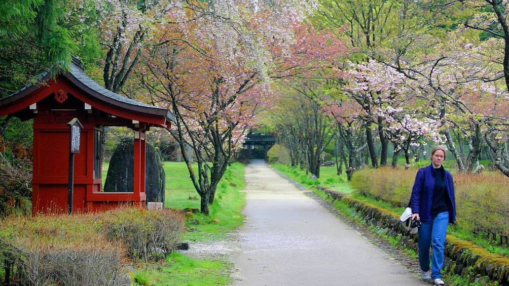 Woman walks along a path in Nikko, Japan