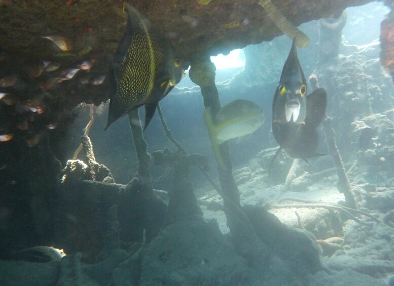 Picture 3 for Activity Curacao: Jet Ski and Snorkel 1.5 Hour Adventure