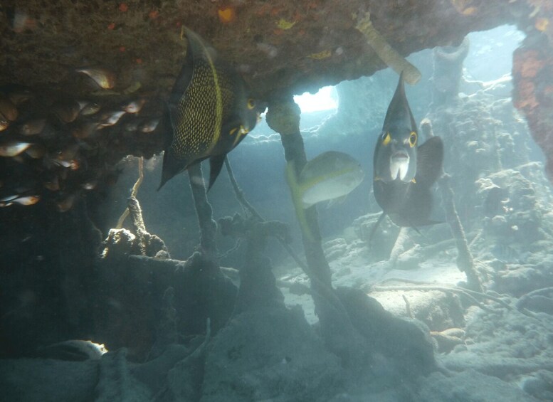 Picture 3 for Activity Curacao: Jet Ski and Snorkel 1.5 Hour Adventure