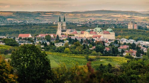 Klosterneuburg: Ticket to Klosterneuburg Abbey