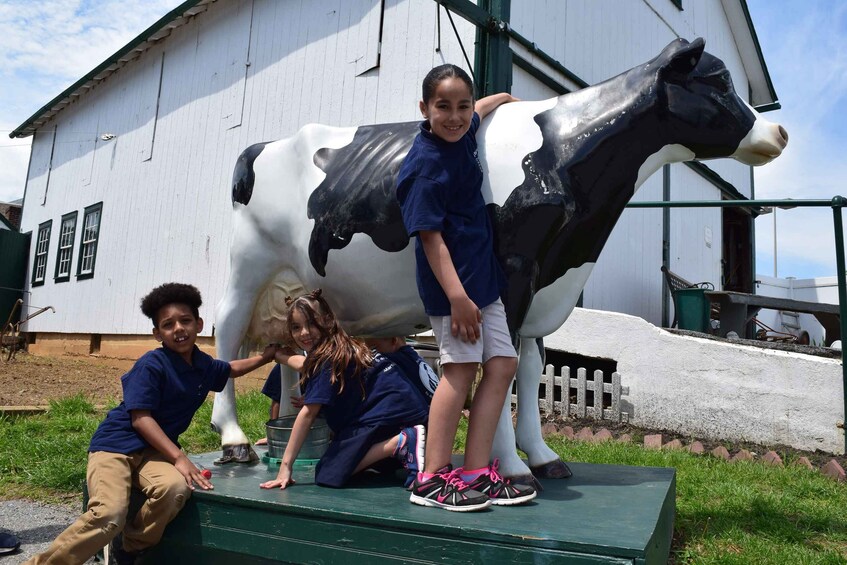 Picture 10 for Activity Lancaster County: Amish Farmlands, Museum Tour, Farm Visit