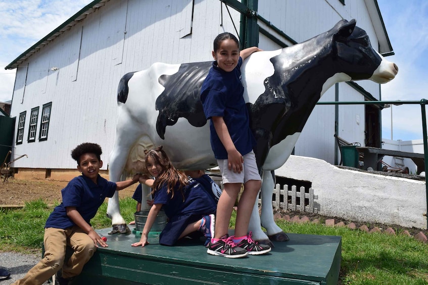 Picture 10 for Activity Lancaster County: Amish Farmlands, Museum Tour, Farm Visit