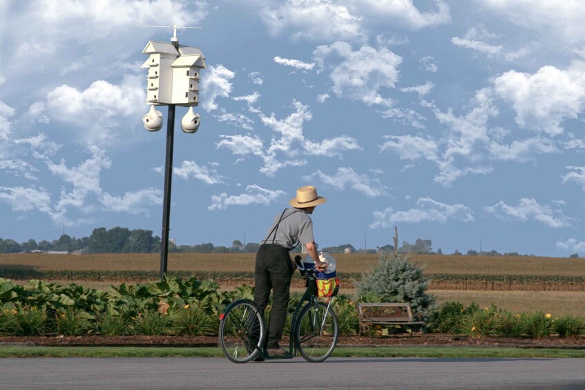 Picture 1 for Activity Lancaster County: Amish Farmlands, Museum Tour, Farm Visit