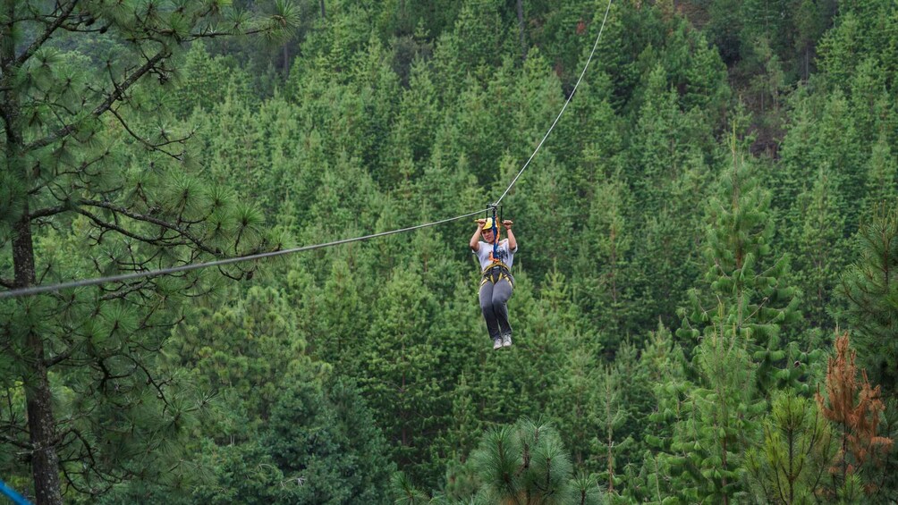 Picture 8 for Activity Puebla: Alpinia Mountain and Nature Park