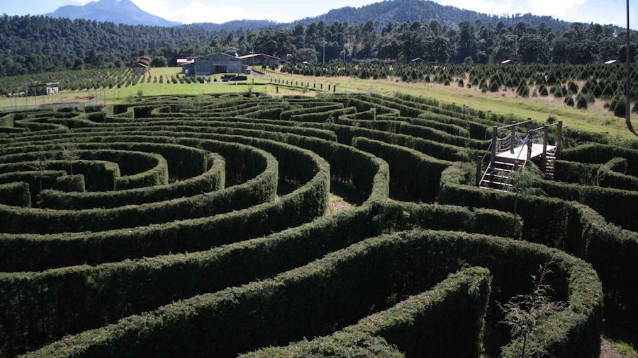 Puebla: Alpinia Mountain and Nature Park