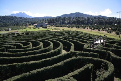 Puebla: Alpinia berg- en natuurpark