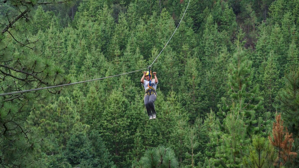 Picture 8 for Activity Puebla: Alpinia Mountain and Nature Park