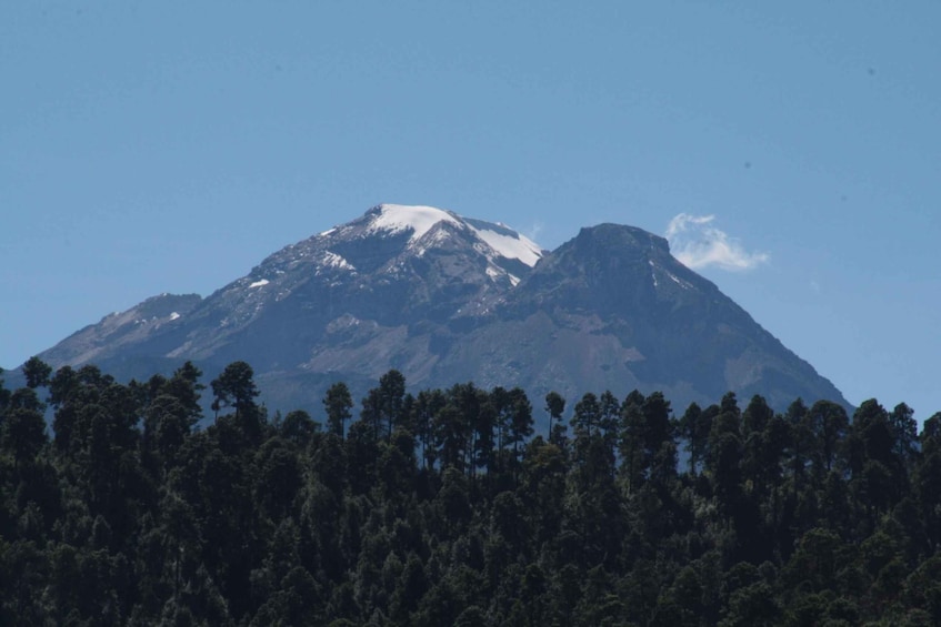 Picture 5 for Activity Puebla: Alpinia Mountain and Nature Park