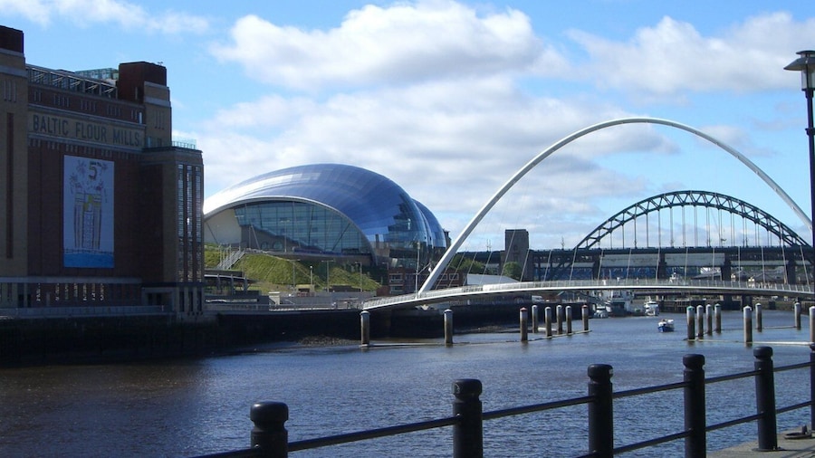 Vera Half Day TV Locations Tour of Newcastle