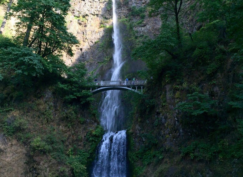 Portland: Columbia River Gorge 3-Hour Small Group Tour