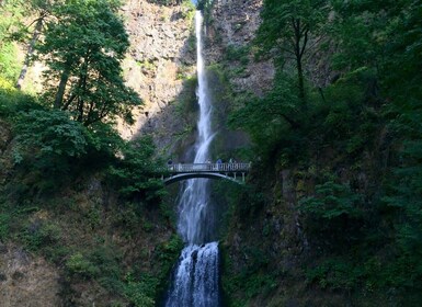 Portland: Columbia River Gorge 3 tunnin pienryhmäretki