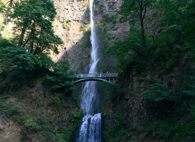 Portland: Columbia River Gorge 3-Hour Small Group Tour