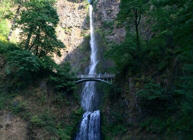 Portland: Columbia River Gorge 3 tunnin pienryhmäretki